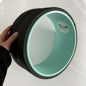 CHIRP Chiropractic Wheel